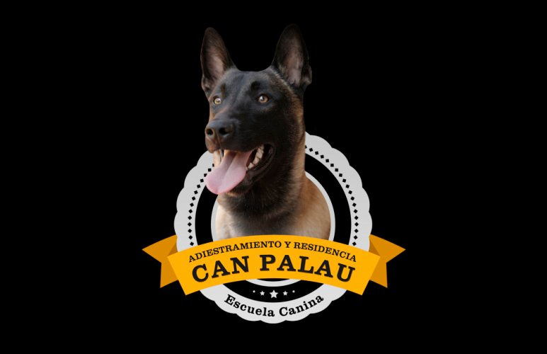 adiestramiento.cartonlife.net